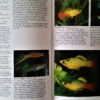 Wasserwelt Aquarium  von Ulrich Schliewen – Bild 3