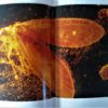 Zauber der Mineralien - Kristalle, Gold und Edelsteine  von Kurt Blüchel und Olaf Medenbach – Bild 2