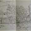 Simons Katze. Der Zaunkönig von Simon Tofield – Bild 4