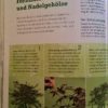 Bonsai ziehen, gestalten und pflegen: Schritt für Schritt zum Bonsaiprofi von Johann Kastner – Bild 4